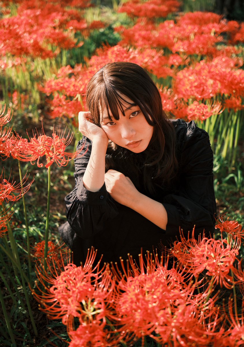 ソラニ tweet media