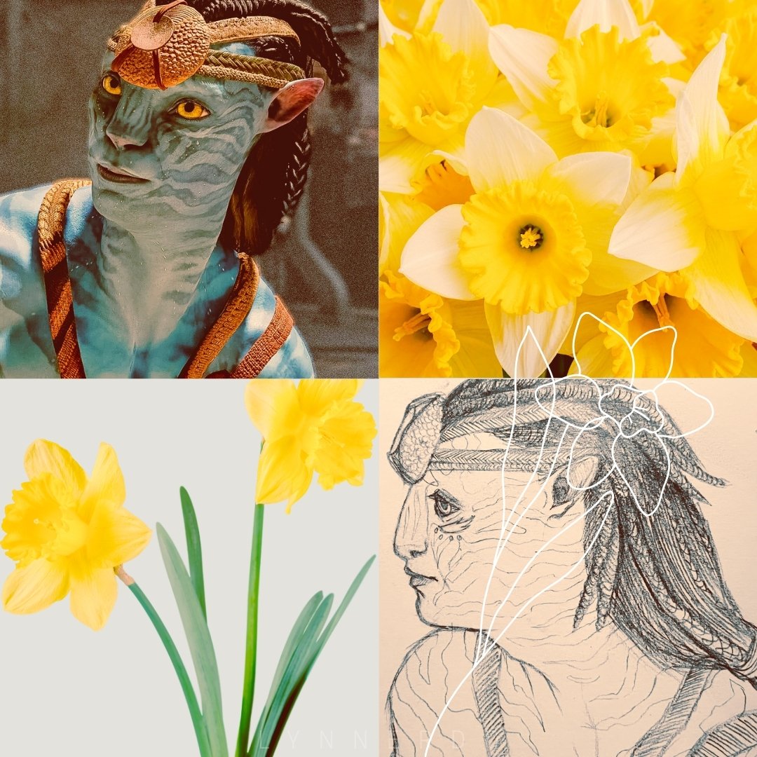 Lynnerdo's tweet image. 𝕯𝖆𝖋𝖋𝖔𝖉𝖎𝖑🌷

Pride, dignity, strength, and self-confidence.

Narcissus/Daffodil - While often representing vanity or unrequited love, it historically signifies a self-focused pride or regard. 

#nor #afop