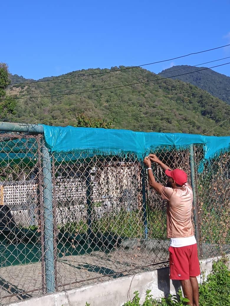 Clemente Balladares Castillo tweet media