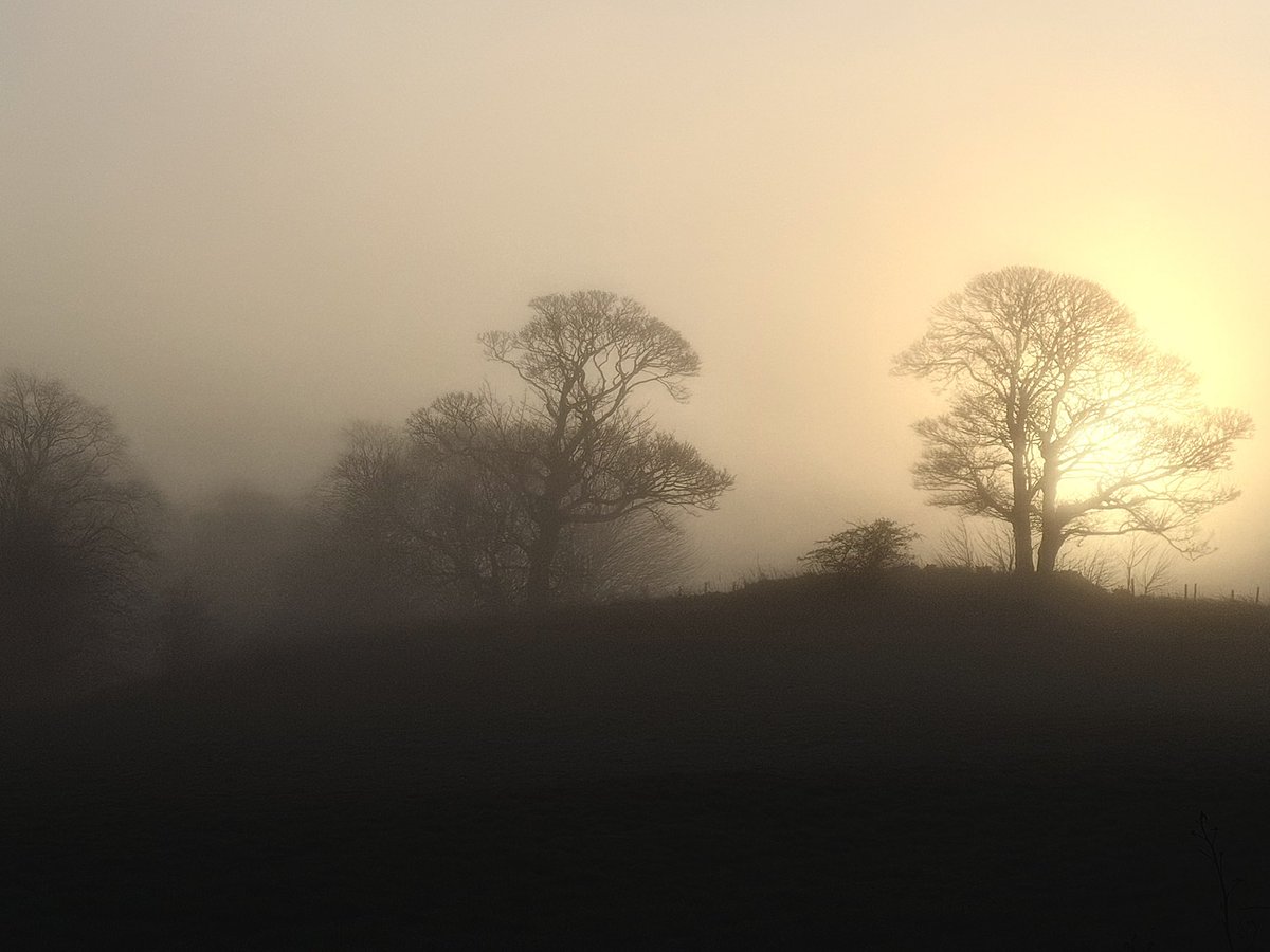 Gawain Towler tweet media