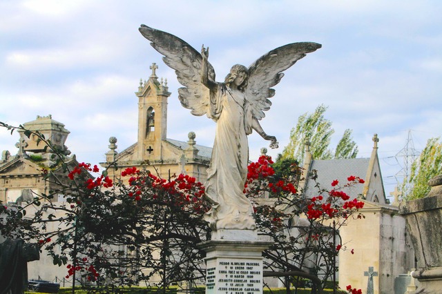 Turismo de Vigo tweet media