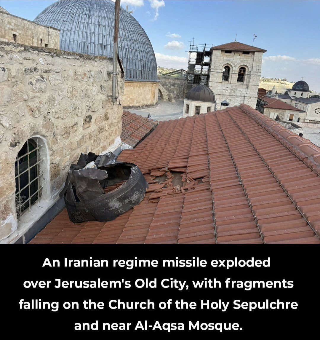 Ncole ✡︎ tweet media