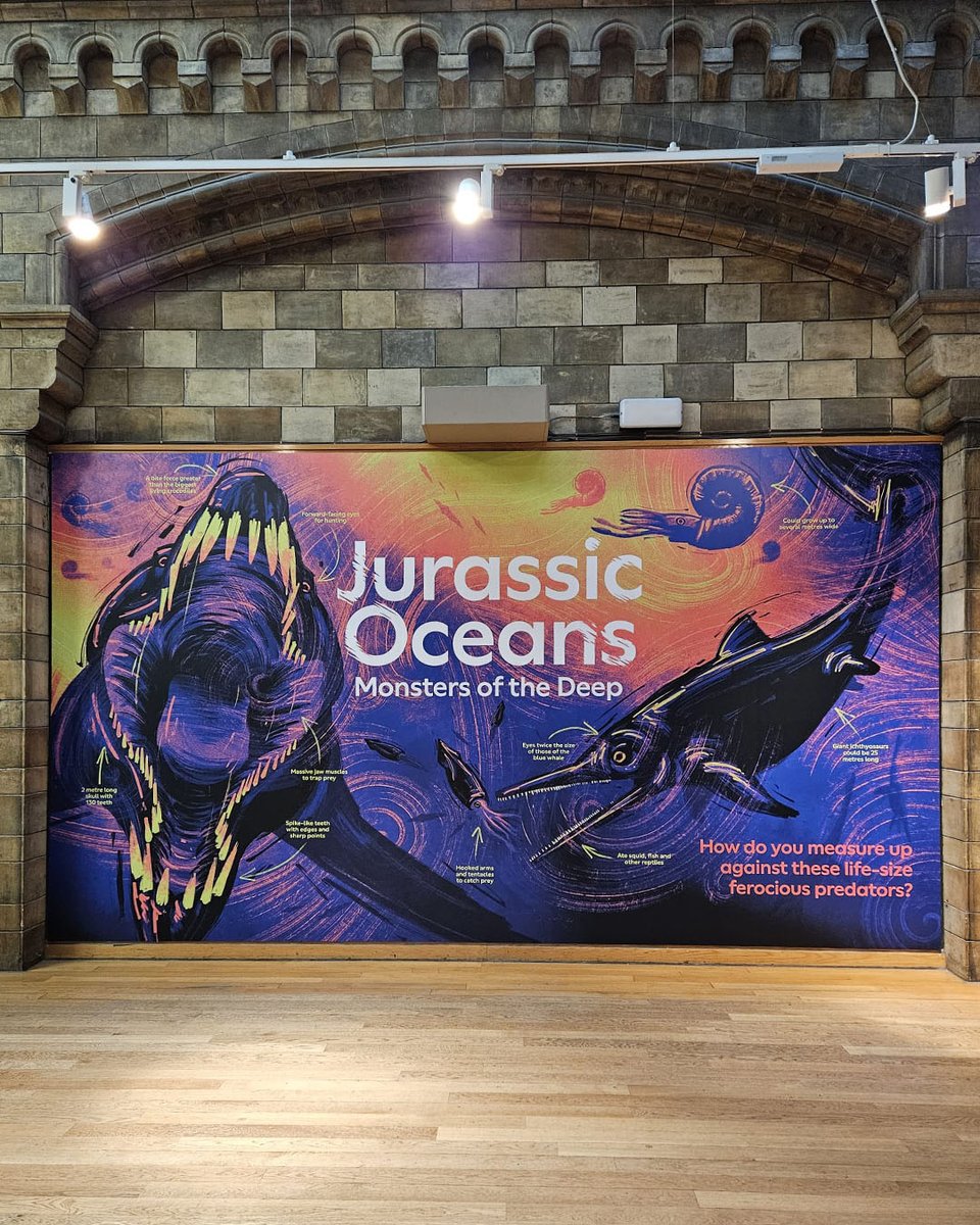 Natural History Museum tweet media