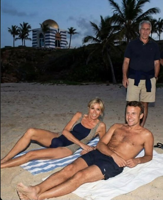 Fleur Morel tweet media