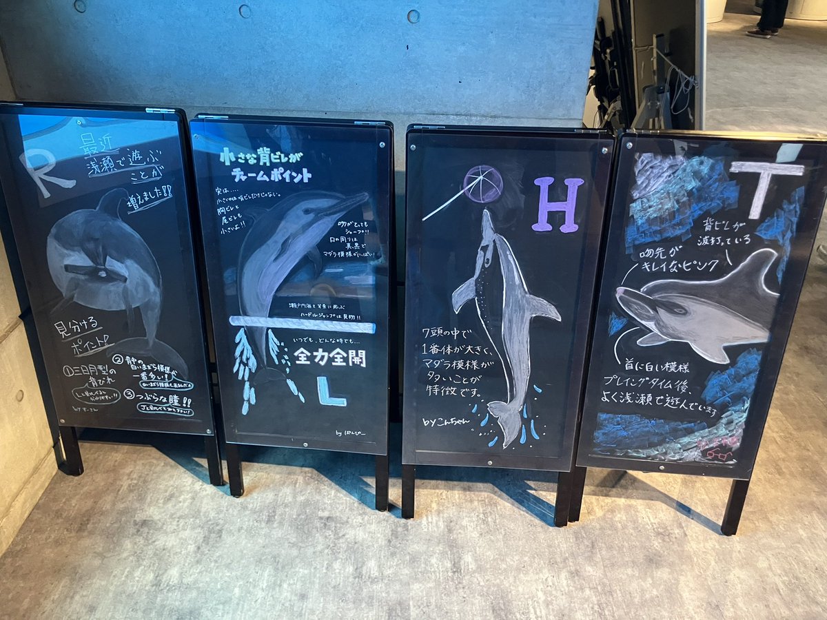 兄弟体制 tweet media