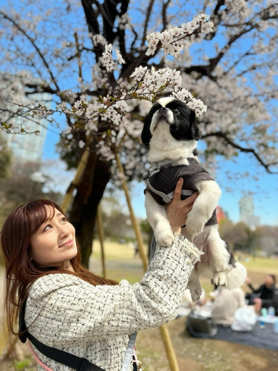 카와카미 유우(모리노 시즈쿠)