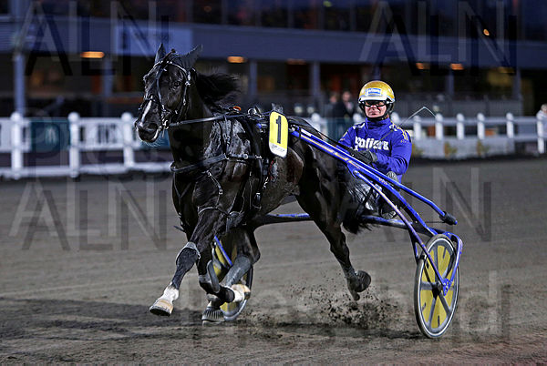 FIGHT-TILL-YOU-DIE tweet media