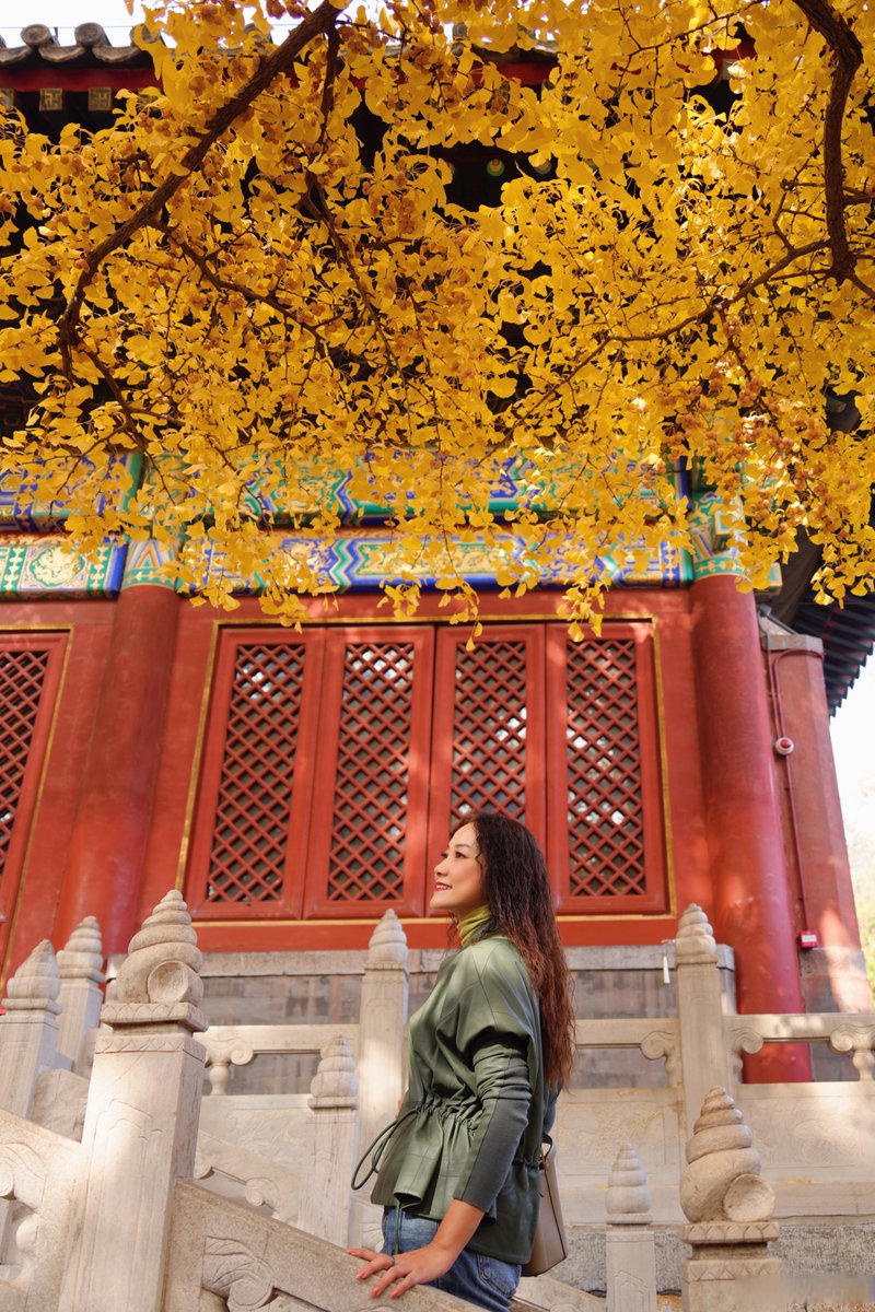 Tammy Brophy tweet media