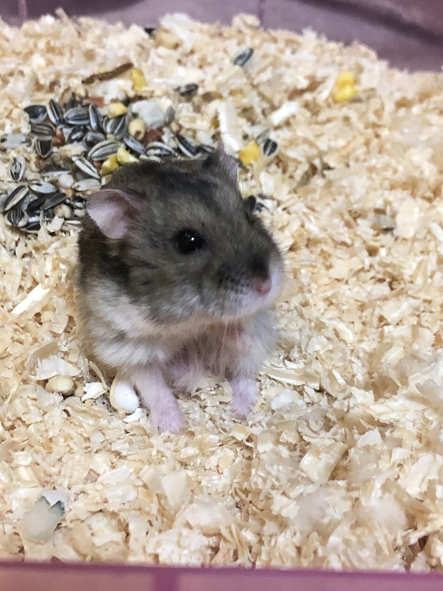 無事に豊橋での法要を済ませ、今から帰阪します。
毎年、3/18が彼岸の法要をやって下さるようで亡くしてから6年となる今年、参列が叶いました。
また改めて来ようと思います。
※各種個人特定が可能な内容は全てAI画像編集により削除済