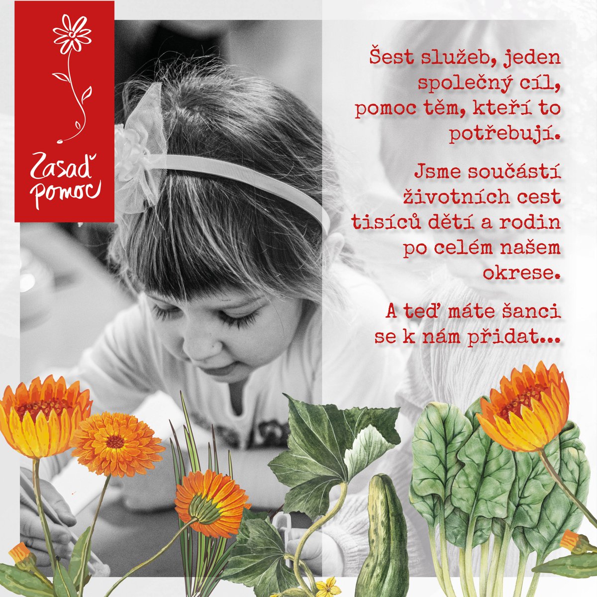 Pojďte s námi dnes Zasadit pomoc😍
zdar.charita.cz/podpo.../zasad…