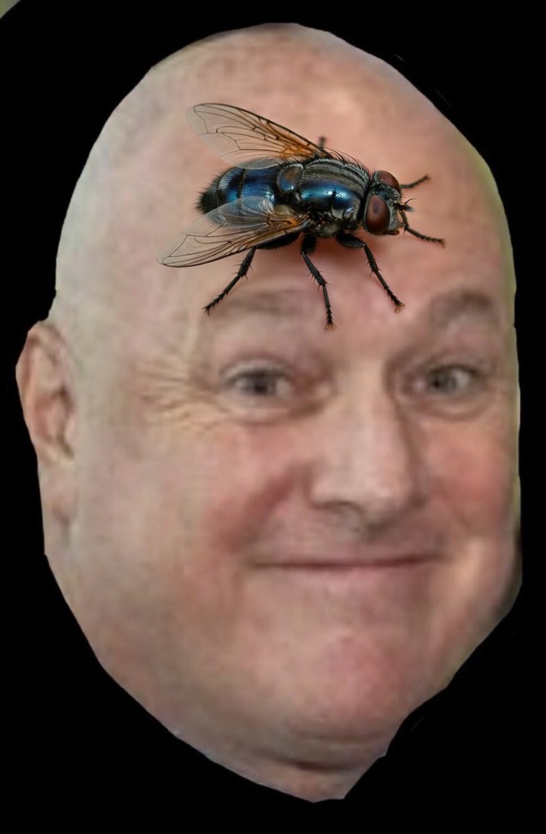 landscape over portraits tweet media