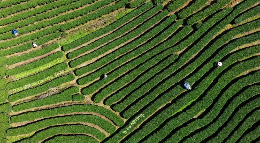 Beautiful China tweet media