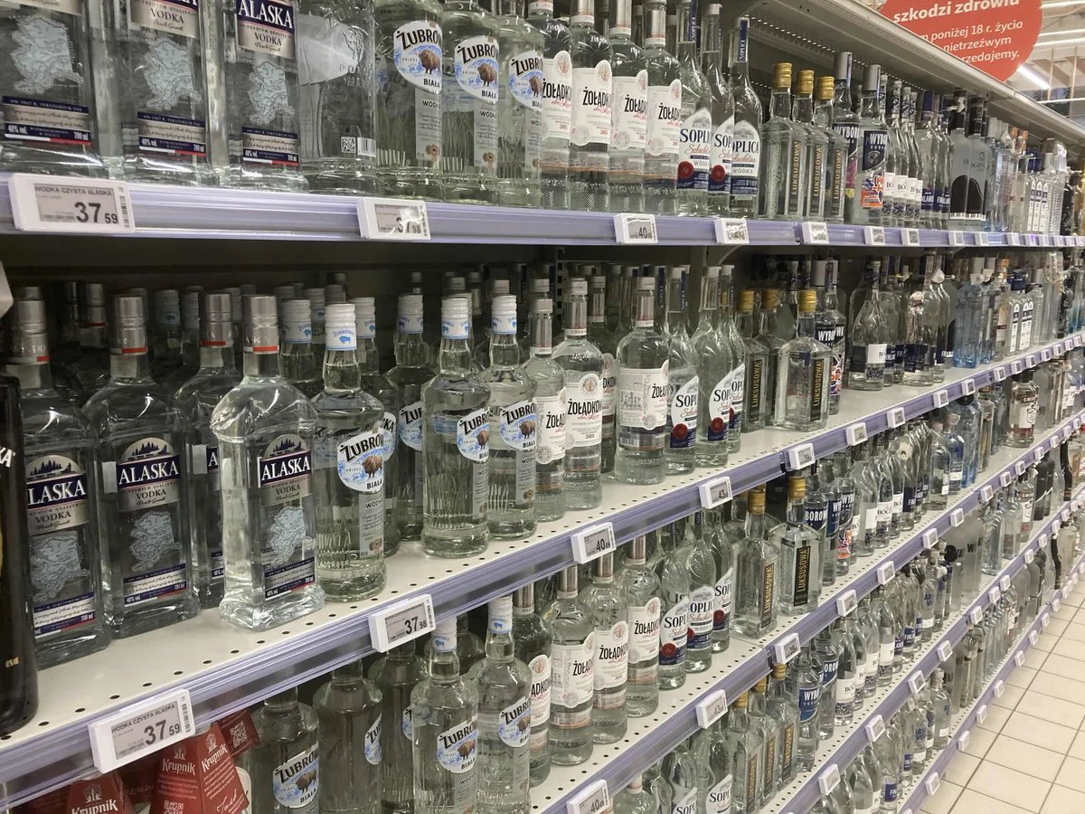 🦑牙βネ申🦑 OTMN100リリース中 tweet media