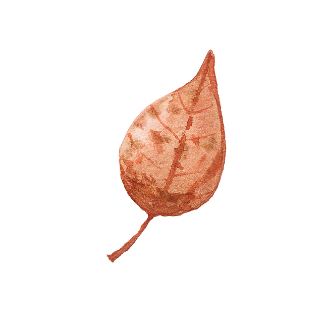 Steve Vazquez tweet media