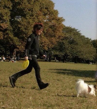 rumpaine tweet media