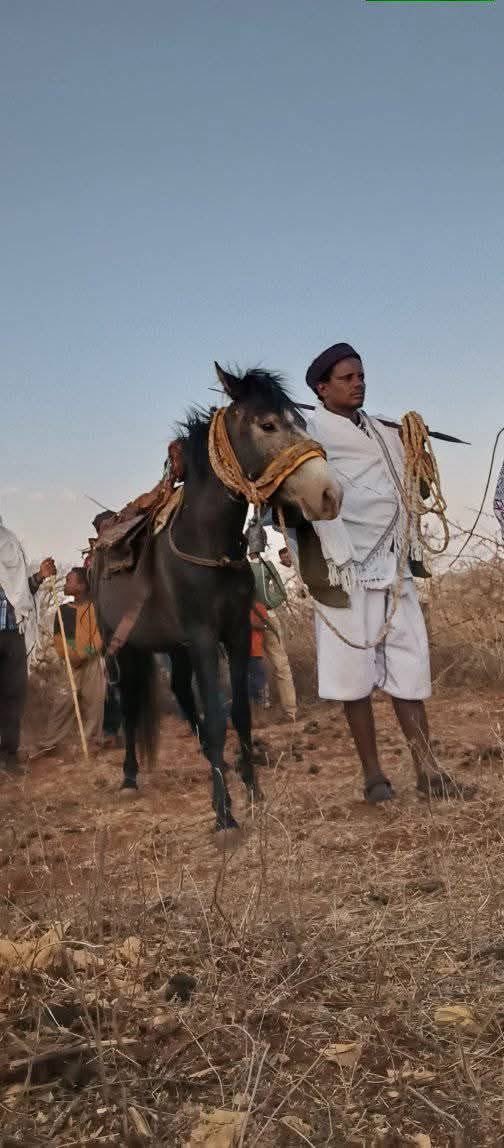 Dukeofharar tweet media