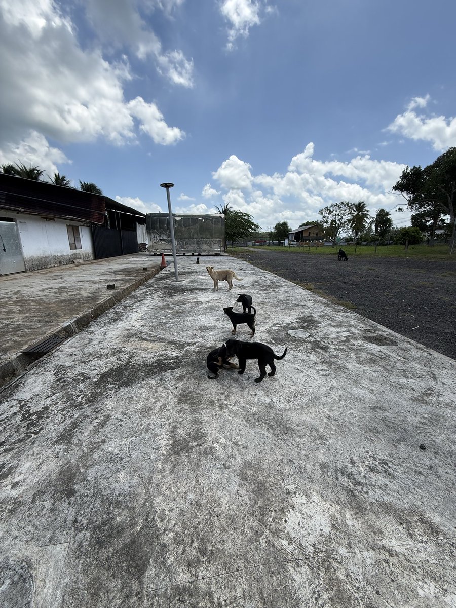 Anndy Lian tweet media