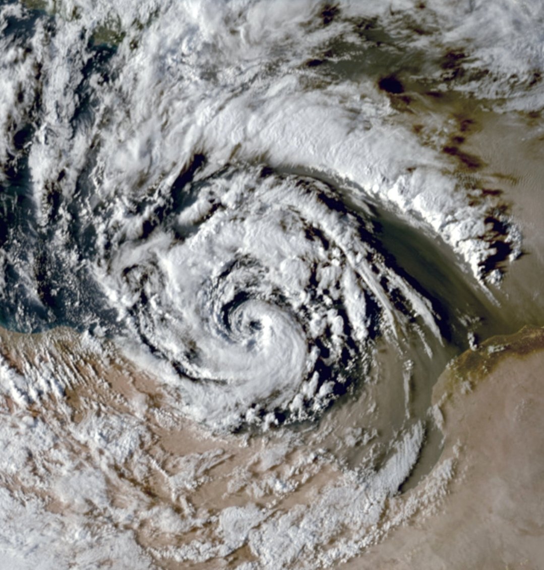 daniele_Bianchino tweet media