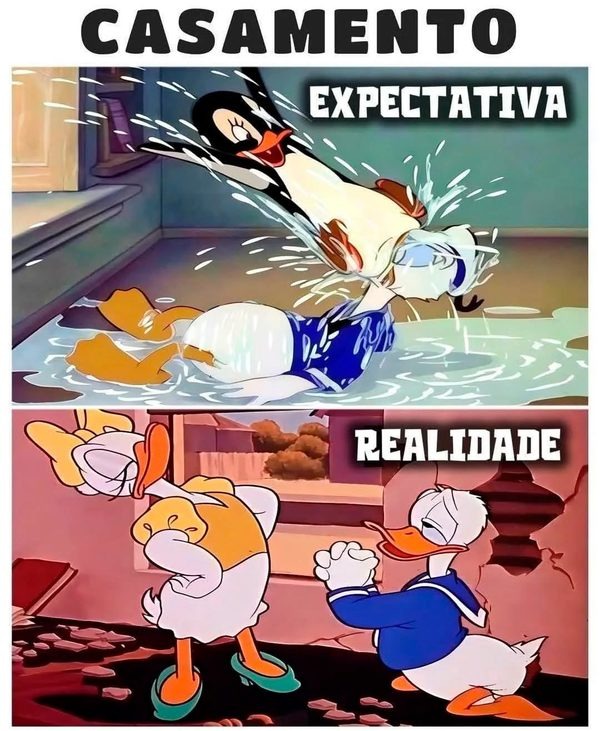 Código dos Lobos △ tweet media