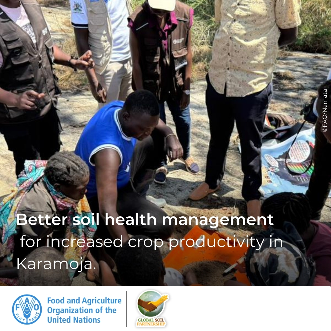 FAO in Uganda tweet media