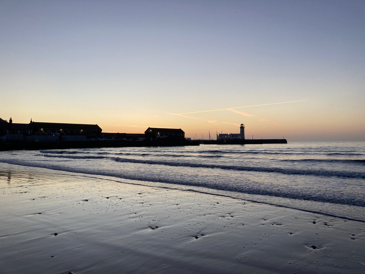 Faith Young Writer tweet media