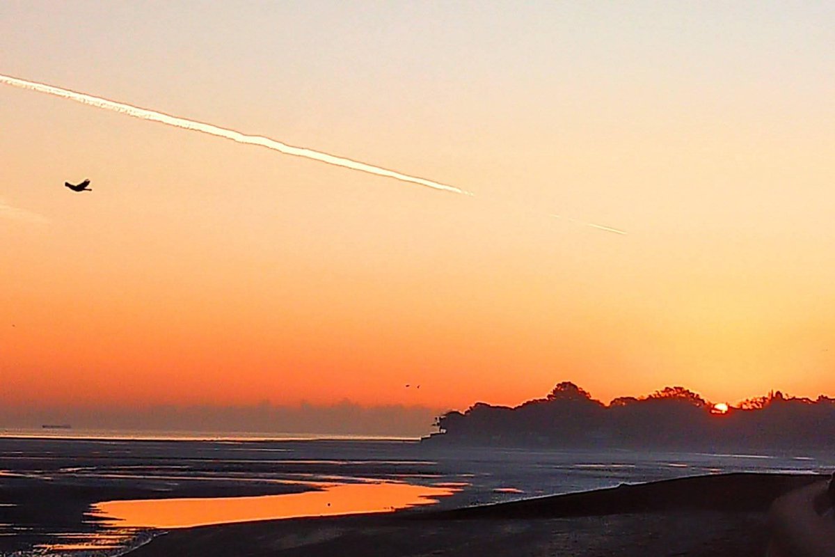 Wayne Whittle tweet media