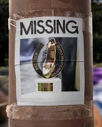 Bruce Clark tweet media