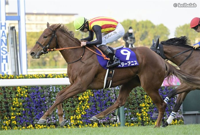 keibalab's tweet photo. 【大豊作】
フェスティバルヒルの参戦により、社台グループオーナーズ所属馬は桜花賞にスターアニス、ドリームコア、フェスティバルヒル、サンアントワーヌ、ジッピーチューンの5頭が参戦予定となりました。更に増えるか注目です。
#桜花賞
https://t.co/Y3RqJ8YbMt https://t.co/PoeIfj15g2