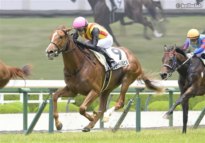 keibalab's tweet photo. 【大豊作】
フェスティバルヒルの参戦により、社台グループオーナーズ所属馬は桜花賞にスターアニス、ドリームコア、フェスティバルヒル、サンアントワーヌ、ジッピーチューンの5頭が参戦予定となりました。更に増えるか注目です。
#桜花賞
https://t.co/Y3RqJ8YbMt https://t.co/PoeIfj15g2