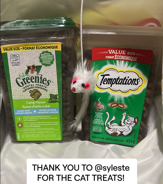 KaiVinsanity's tweet photo. Thank you @SylesteVT for contributing into making Pickle a chonk since Mits likes to steal food sometimes. ❤️ https://t.co/SA8MUrH4UC