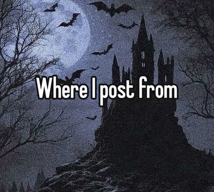 Medieval moth 🗡️ tweet media