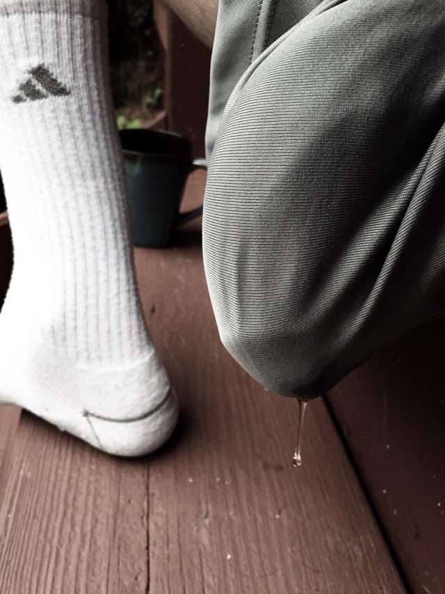 —𝑭𝒐𝒙 𝑴𝒄𝑪𝒍𝒐𝒖𝒅 tweet media