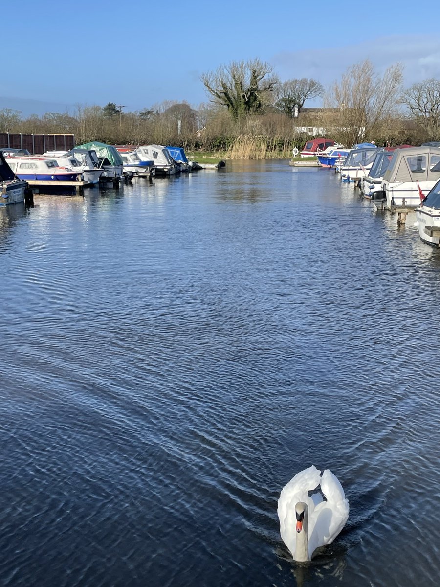 Tony Warne tweet media