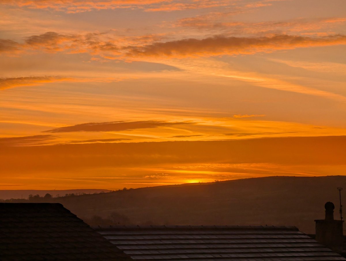 FiFi Garrett tweet media