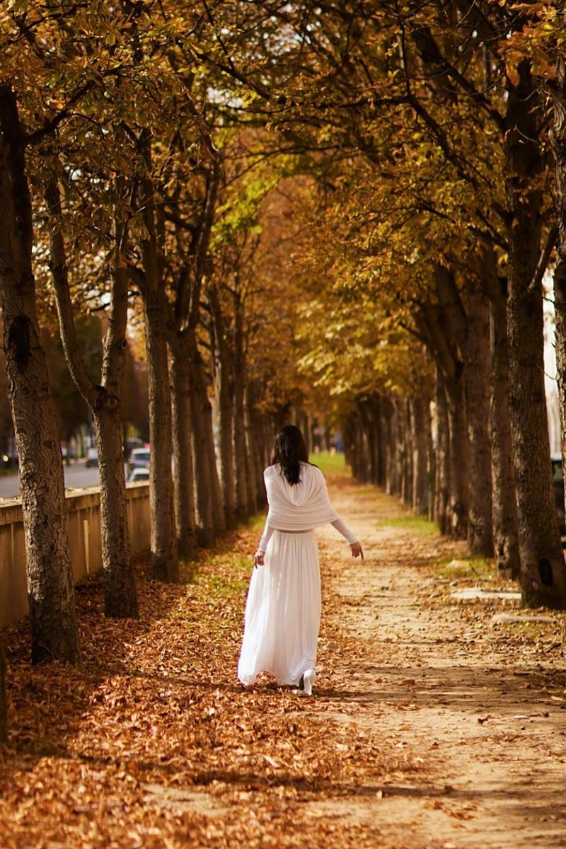 Online Contests tweet media