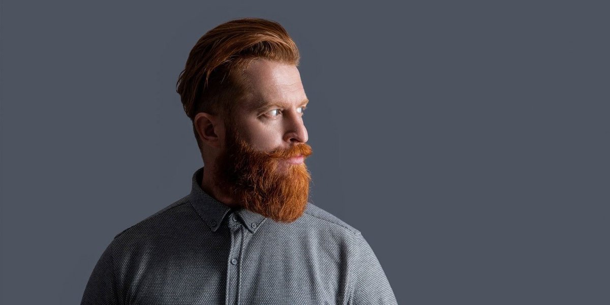 Koenfucius 🔍 tweet media