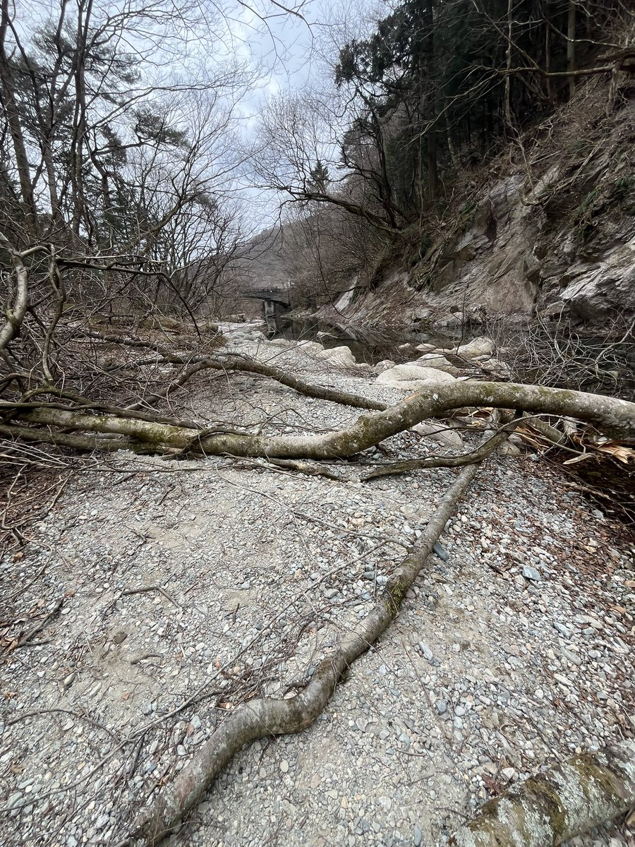 りんすじじこ tweet media