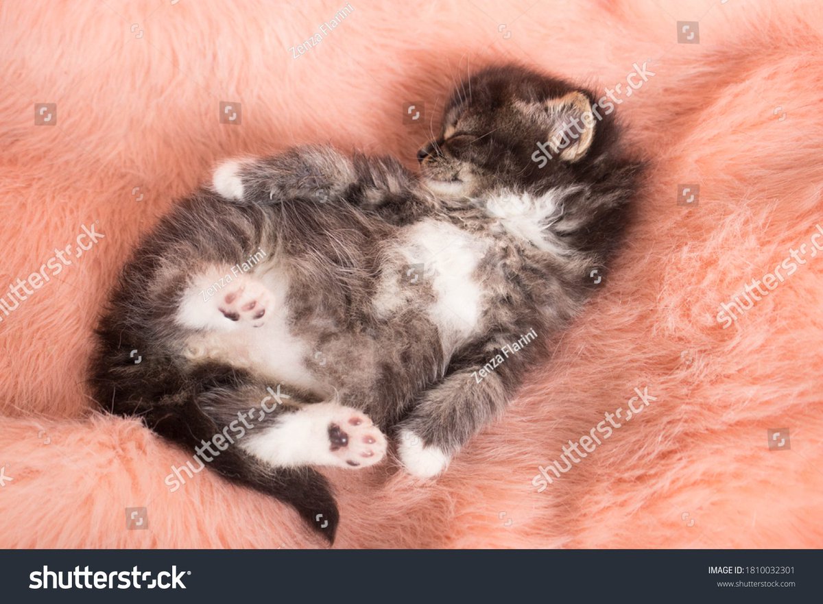 投资 TLAK 君 tweet media