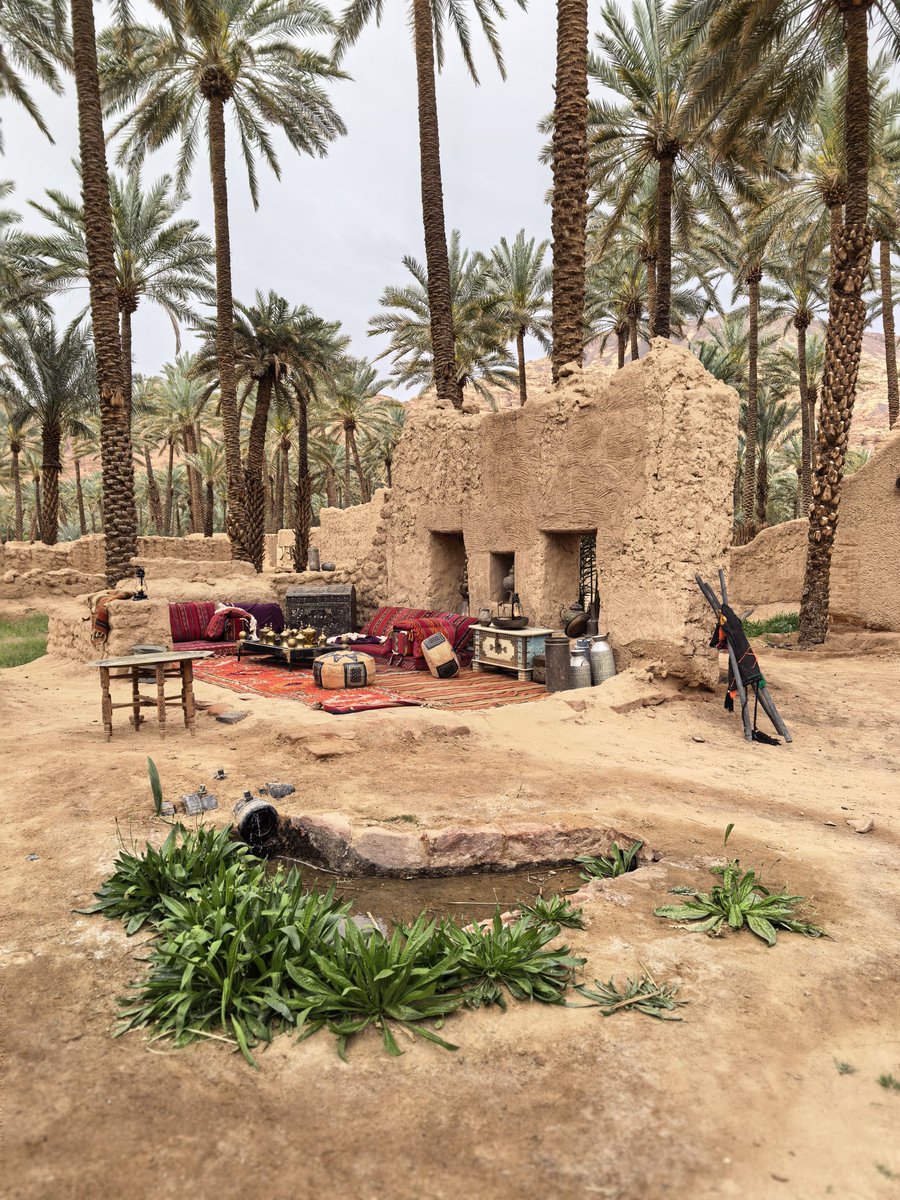 نايف ⚖️🇸🇦 tweet media