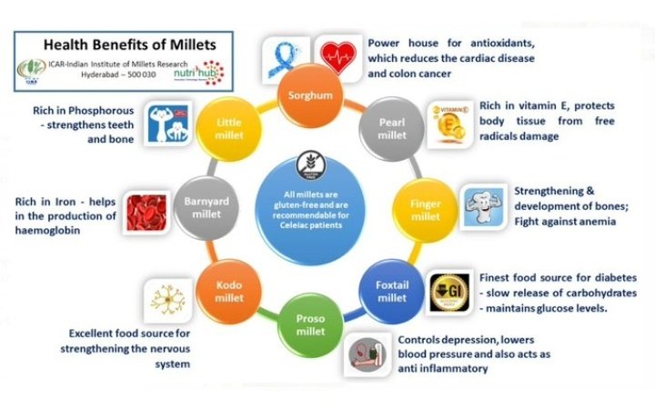 MilletsofIndia tweet media