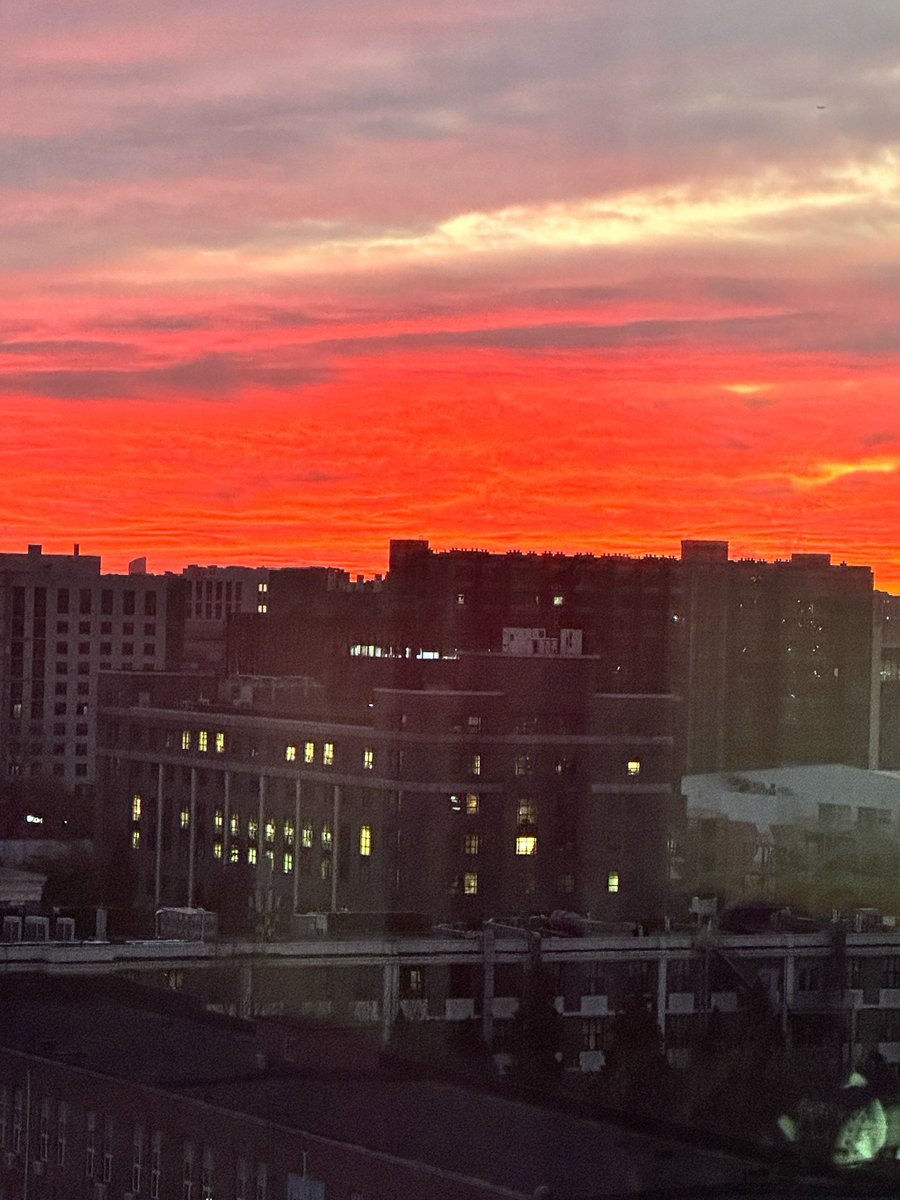 RIPSON MOHANTY tweet media