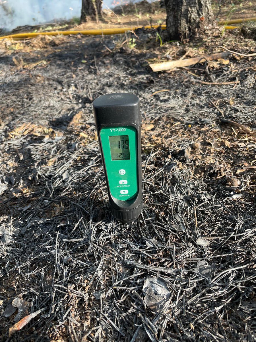 Consejería de Gestión Forestal y Mundo Rural tweet media