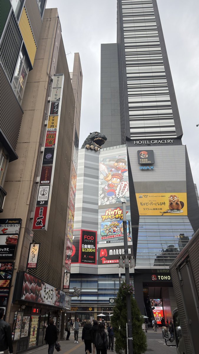 ARSEL 🌹 tweet media