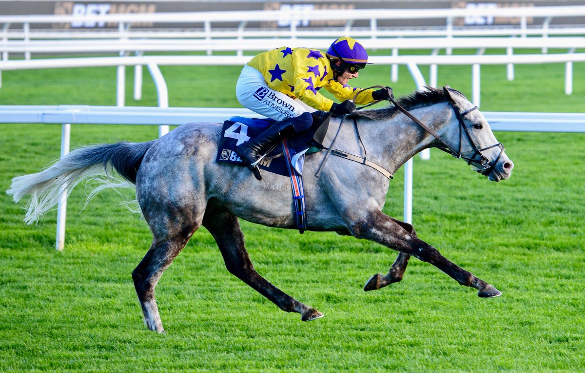 Michael Harris tweet media