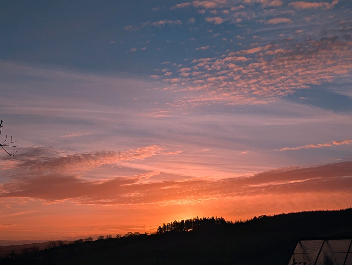 Anne Kelly ⛔NO DMs⛔ unless I know or follow you. tweet media