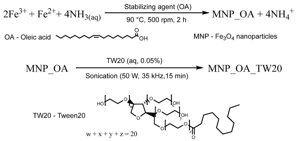 Magnetochemistry MDPI tweet media