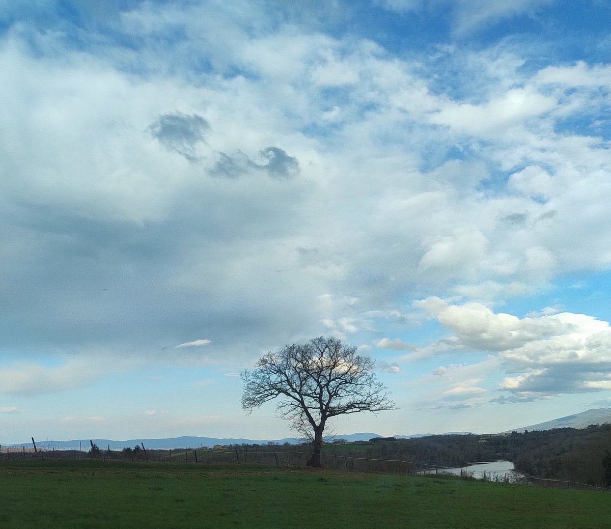 Francesca Coli tweet media