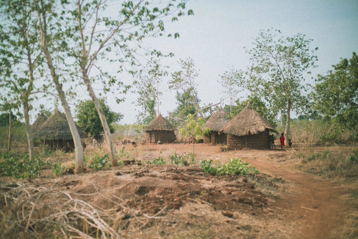 a KOZZOGRAPHA Film tweet media