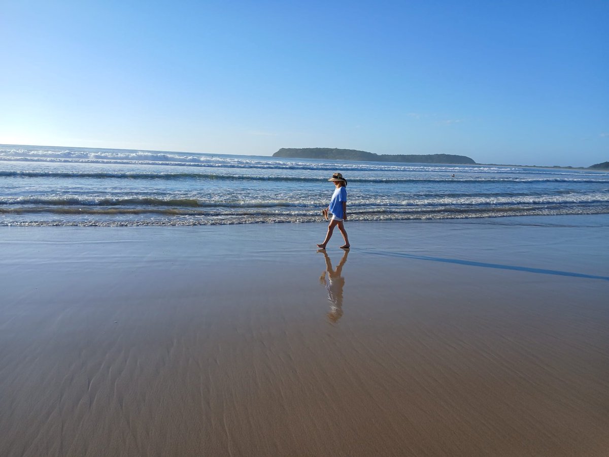 Chip Chapman tweet media