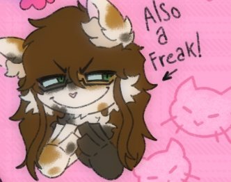 ʜɪʀᴏꜱᴇ ᴛᴀᴋᴀᴀᴋɪ. tweet media